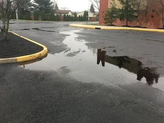 Standing water ponding on asphalt near a commercial parking lot curb