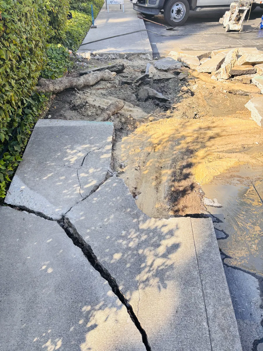 Demolished concrete sidewalk panels exposing root damage, broken slab edges, and route disruption