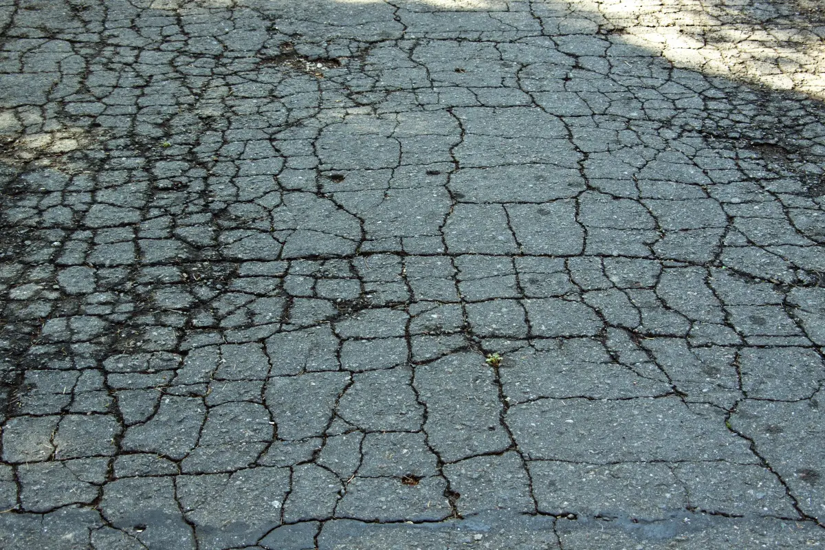 Alligator cracking across asphalt pavement that is too failed for simple crack filling