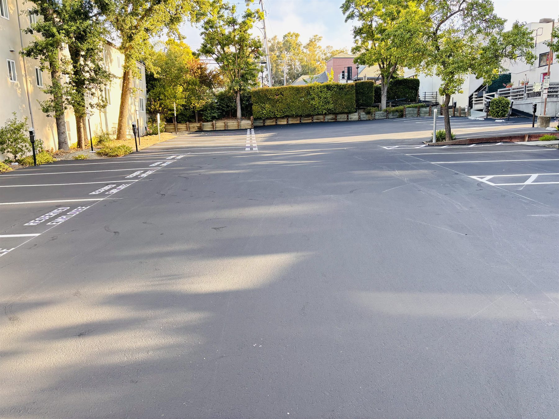 Freshly sealcoated and restriped commercial parking lot